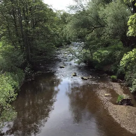 The Board - Bed & Breakfast Lealholm